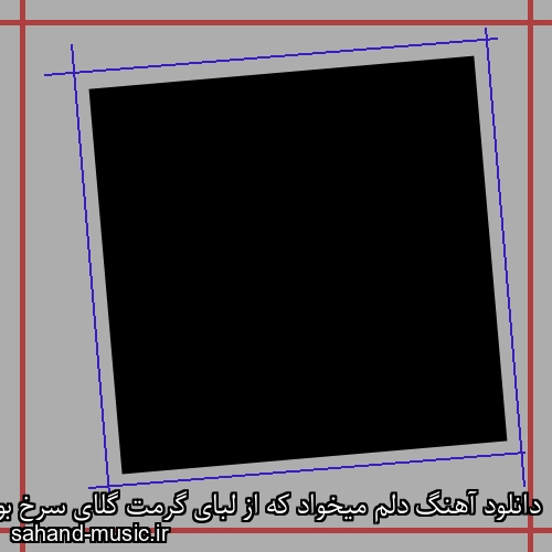 دانلود آهنگ دلم میخواد که از لبای گرمت گلای سرخ بوسه رو بچینم