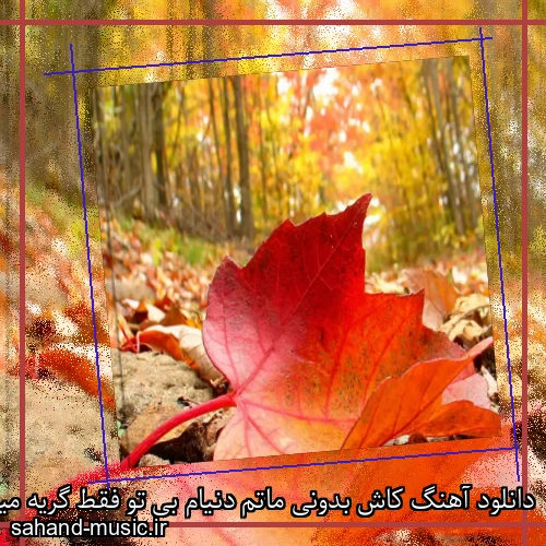 دانلود آهنگ کاش بدونی ماتم دنیام بی تو فقط گریه میخوام