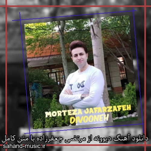 دانلود آهنگ دیوونه از مرتضی جعفرزاده با متن کامل