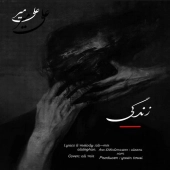 علی میر  - زندگی 