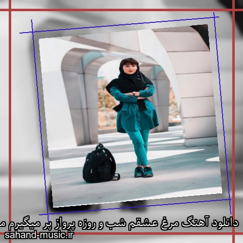دانلود آهنگ مرغ عشقم شب و روزه پرواز پر میگیرم مو از بام شیراز