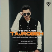 مهریار  - تجربه 