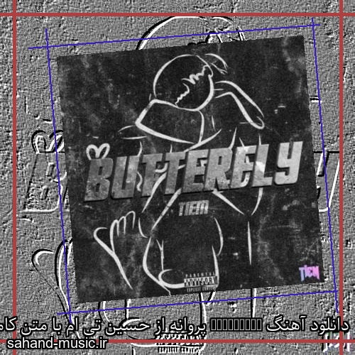 دانلود آهنگ Butterfly پروانه از حسین تی ام با متن کامل