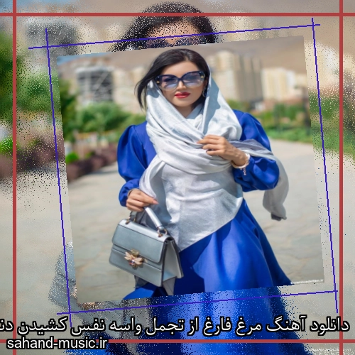 دانلود آهنگ مرغ فارغ از تجمل واسه نفس کشیدن دنبال هوا میگرده