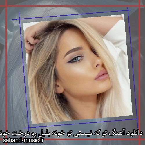 دانلود آهنگ تو که نیستی تو خونه بلبل رو درخت خونه ما نمیخونه