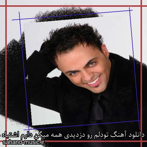 دانلود آهنگ تودلم رو دزدیدی همه میگن دارم اشتباه میکنم همه میگن