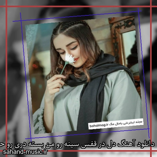 دانلود آهنگ دل در قفس سینه رو من بسته دری رو حسن شماعی زاده