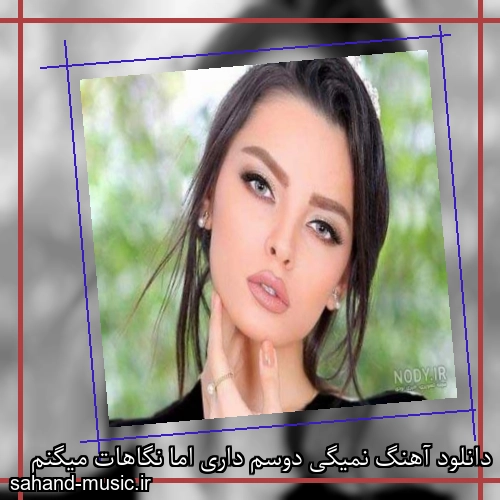 دانلود آهنگ نمیگی دوسم داری اما نگاهات میگنم