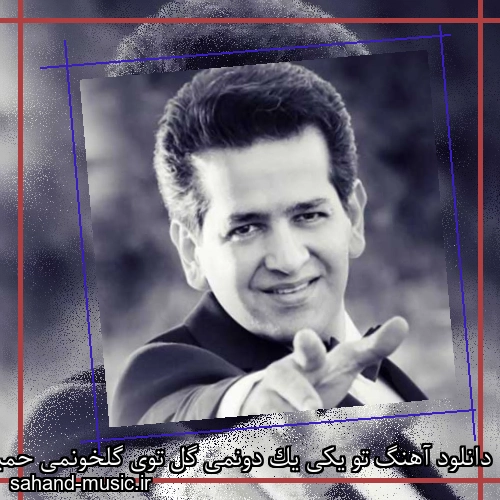 دانلود آهنگ تو یکی یک دونمی گل توی گلخونمی حمید طالب زاده