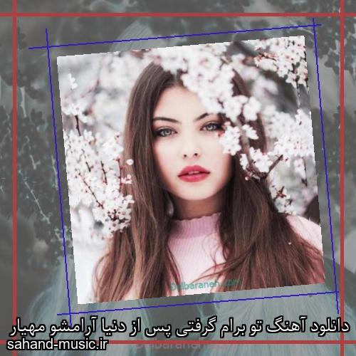 دانلود آهنگ تو برام گرفتی پس از دنیا آرامشو مهیار