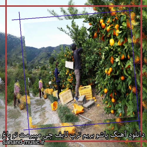 دانلود آهنگ پاشو بریم ترپ لایف چی میبرمت تو باغ پسر بار بچین