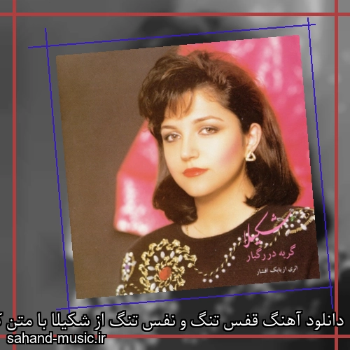 دانلود آهنگ قفس تنگ و نفس تنگ از شکیلا با متن کامل