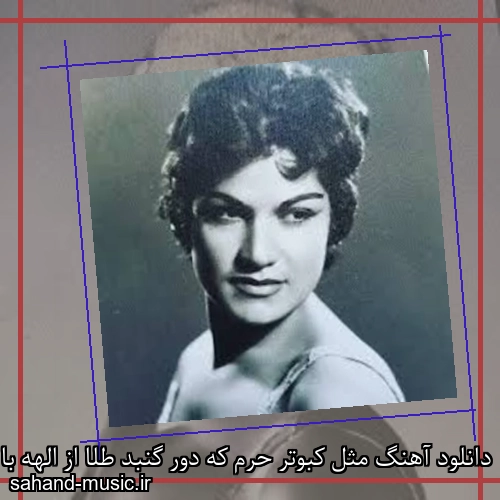 دانلود آهنگ مثل کبوتر حرم که دور گنبد طلا از الهه با متن کامل