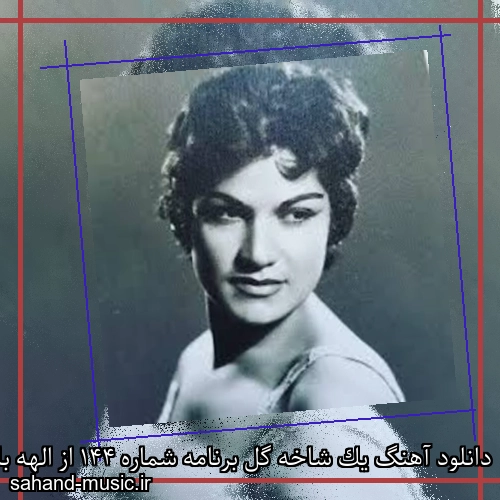 دانلود آهنگ یک شاخه گل برنامه شماره 144 از الهه با متن کامل