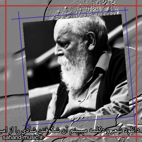 دانلود شعر و دکلمه میبینم آن شکوفتن شادی را از امیر هوشنگ ابتهاج با متن کامل و صدای خودش