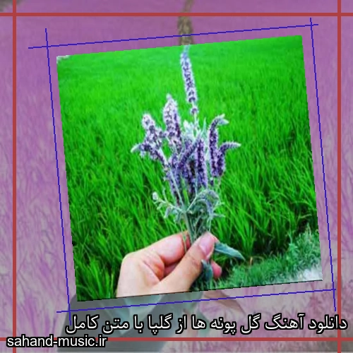 دانلود آهنگ گل پونه ها از گلپا با متن کامل