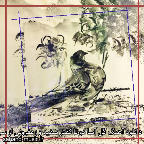 دانلود آهنگ گل آسا دو تا کفتر سفید و زعفرونی از سیما بینا با متن کامل