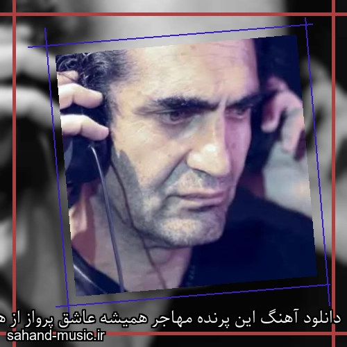 دانلود آهنگ این پرنده مهاجر همیشه عاشق پرواز از هاتف با متن کامل