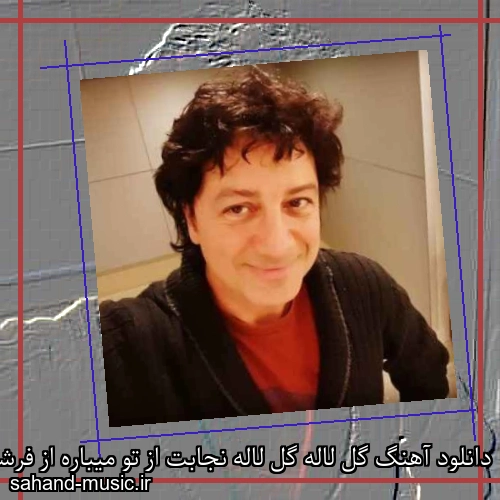 دانلود آهنگ گل لاله گل لاله نجابت از تو میباره از فرشید امین با متن کامل