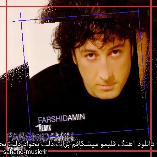 دانلود آهنگ قلبمو میشکافم برات دلت بخواد دلت نخواد از فرشید امین با متن کامل