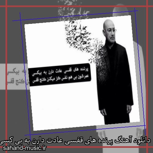 دانلود آهنگ پرنده های قفسی عادت دارن به بی کسی از سیاوش قمیشی