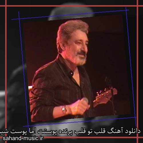 دانلود آهنگ قلب تو قلب پرنده پوستت اما پوست شیر از ابی