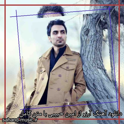 دانلود آهنگ آرزو از امین حبیبی با متن کامل