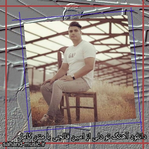 دانلود آهنگ تو دلی از امین فالجی با متن کامل