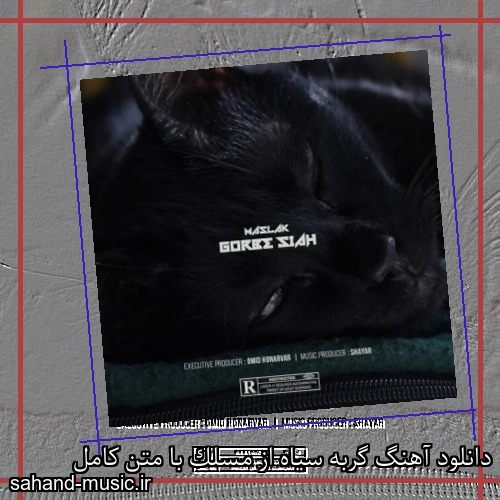 دانلود آهنگ گربه سیاه از مسلک با متن کامل
