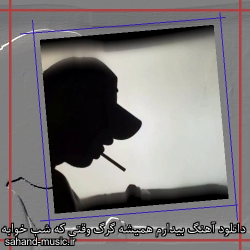 دانلود آهنگ بیدارم همیشه گرگ وقتی که شب خوابه