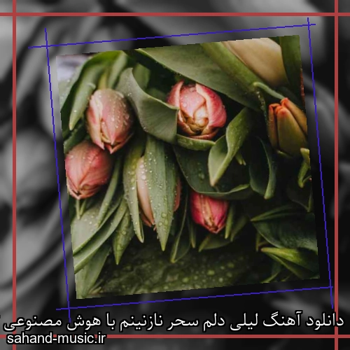 دانلود آهنگ لیلی دلم سحر نازنینم با هوش مصنوعی ترند اینستاگرام