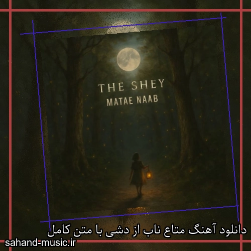 دانلود آهنگ متاع ناب از دشی با متن کامل