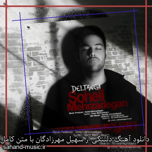 دانلود آهنگ دلتنگی از سهیل مهرزادگان با متن کامل