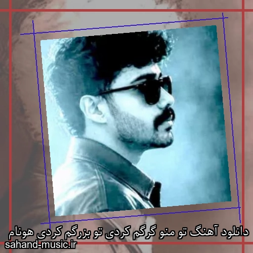 دانلود آهنگ تو منو گرگم کردی تو بزرگم کردی هونام