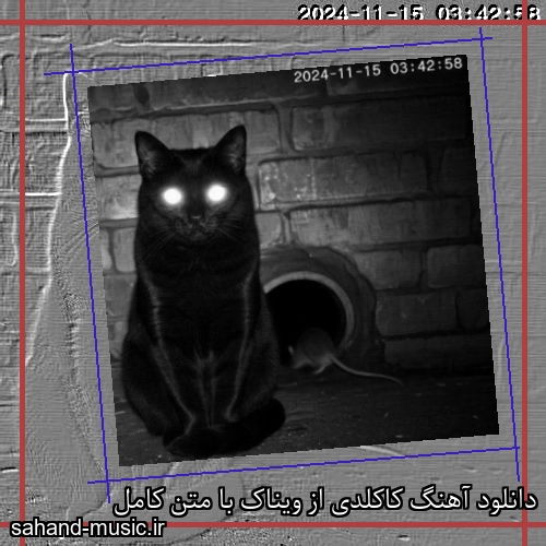 دانلود آهنگ زیبا و دلنشین ویناک  کاکلدی  از سهند موزیک با دانلود رایگان