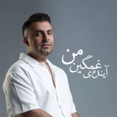 علیرضا طلیسچی  - آینده غمگین من 