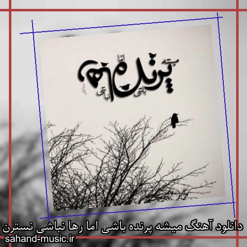 دانلود آهنگ میشه پرنده باشی اما رها نباشی نسترن