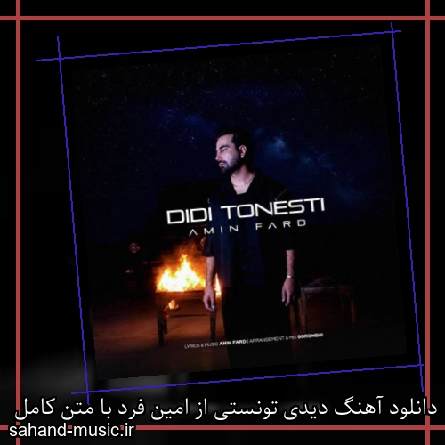 دانلود آهنگ دیدی تونستی از امین فرد با متن کامل