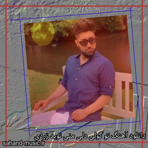 دانلود آهنگ تو گولی دلی منی نوید زردی
