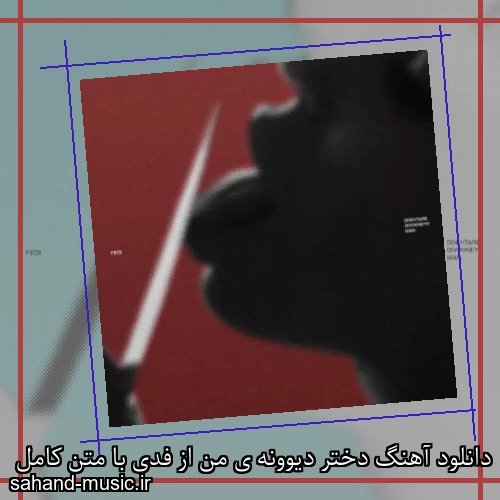 دانلود آهنگ دختر دیوونه ی من از فدی با متن کامل