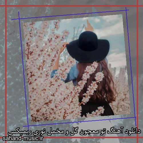 دانلود آهنگ تو معجون گل و مخمل نوری ریمیکس