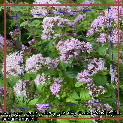 دانلود آهنگ دشت پونه های وحشی دیجی نوین ریمیکس