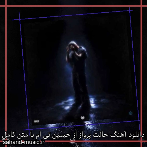 دانلود آهنگ زیبا و دلنشین حسین تی ام  حالت پرواز  از سهند موزیک با دانلود رایگان