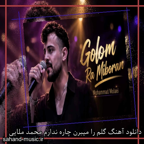 دانلود آهنگ گلم را میبرن چاره ندارم محمد ملایی