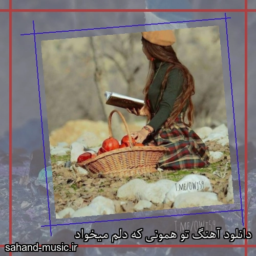 دانلود آهنگ تو همونی که دلم میخواد