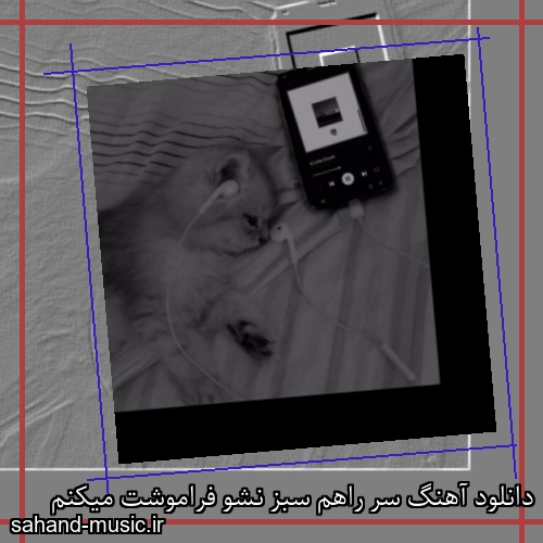 دانلود آهنگ سر راهم سبز نشو فراموشت میکنم