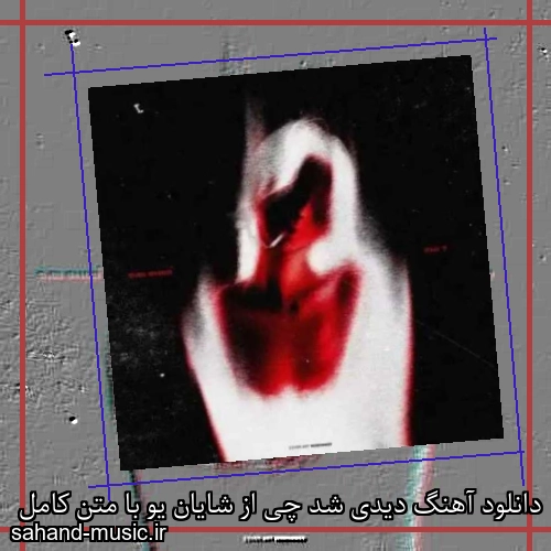 دانلود آهنگ دیدی شد چی از شایان یو با متن کامل