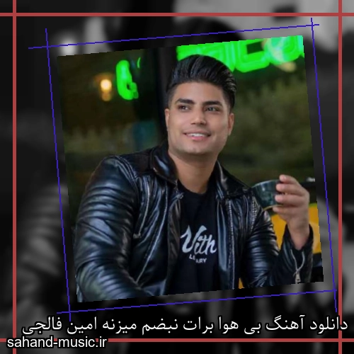 دانلود آهنگ بی هوا برات نبضم میزنه امین فالجی