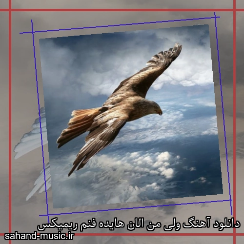 دانلود آهنگ ولی من الان هایده فنم ریمیکس