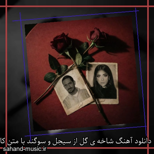 دانلود آهنگ شاخه ی گل از سیجل و سوگند با متن کامل